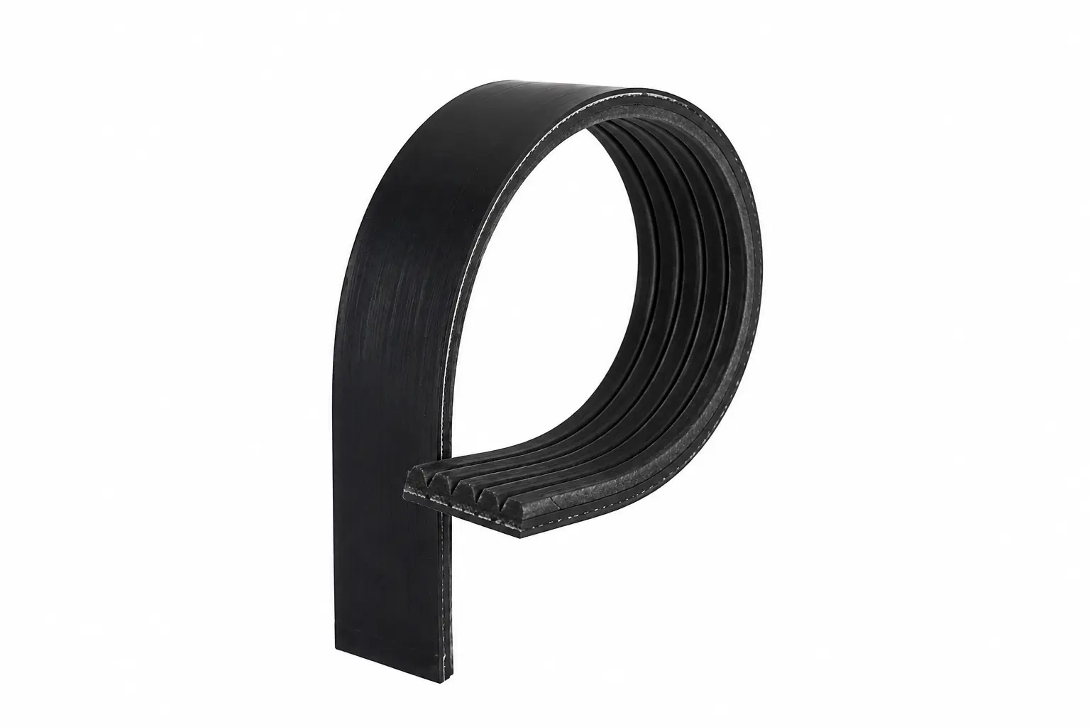 Continental 2L serpentine belt arranged in loop shape showing complete belt design